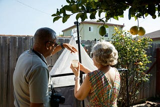 Bugs thrive in urban Los Angeles