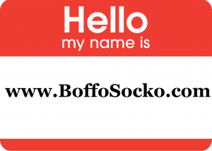 The Story of My Domain