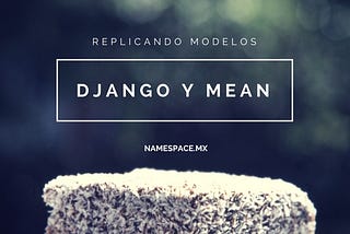 Replicando Modelos