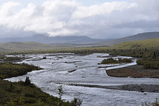 Teklanika River, Alaska: The inspiration for my blog’s name.