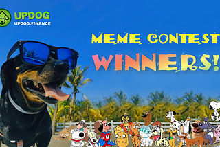 UPDOG Meme Contest Winners