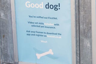 What Makes First Vet’s Advertisement So Creative and Innovative?