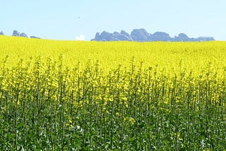 Calling on farmers to help reverse global warming