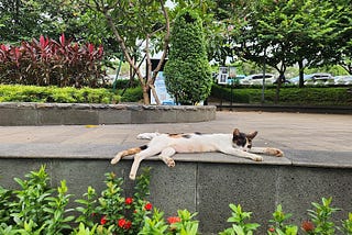 椰城的晴或陰(甲) — — 雅加達 Jakarta