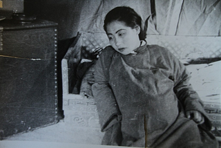 The Evolution of Cinematography in Mongolia