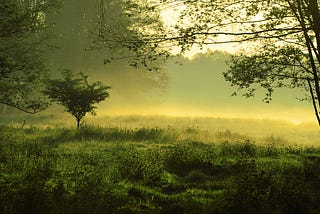 Weekly Roundup: Nature Lowers Pain in the Brain, Parenthood Keeps the Brain Young, Changing…