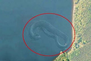 Mysterious Deep sea Creatures Spotted on google earth