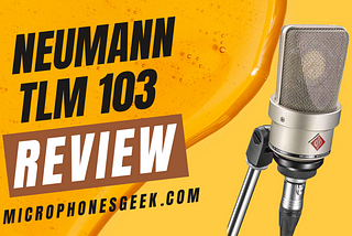 Neumann TLM 103 Microphone Review [Top-Class Microphone]