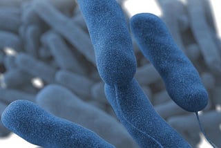 Legionella Poses Risk for Patients in Health Care Facilities