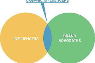 Organic Influencer Marketing: 4 Steps to Turn Influencers Into Brand Advocates