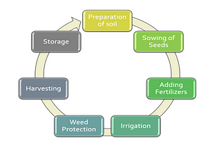 How AI Is Transforming Agriculture?