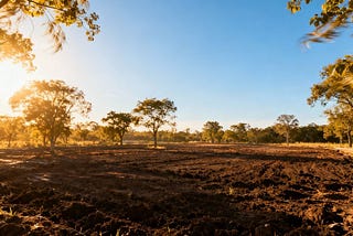 Unlock Your Investment Potential: Strategies for Land Lots for Profit