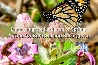 Embracing the Radiance of Spring: A Time for Renewal and Resurgence