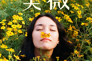 Meiwei EP Cover