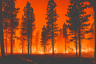 3 big wildfire questions, answered