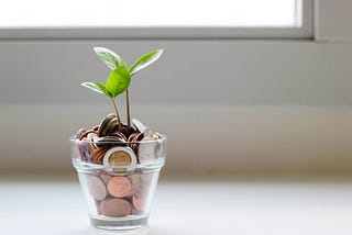 image of a cup of coins with a plant sprouting, representing financial growth