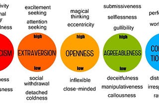 Understanding the Big Five Personality Traits