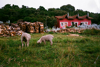 Refuge in the Andes