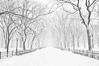 Navigating the Environmental Challenges and Joys of the Season