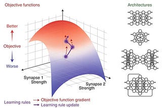 AI and Neuroscience — Part 3: How can deep learning help neuroscience