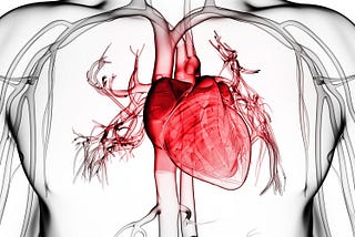 Risk of heart disease associated with high cholesterol in early adulthood