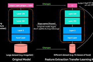 Pytorch 凍結與解凍模型參數、layer 設置不同 learning rate