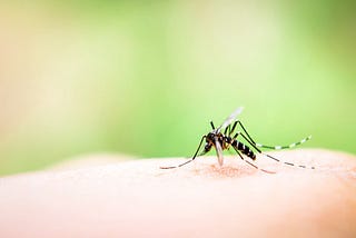 Diminishing the Dengue Danger: Predicting future dengue outbreaks using Machine Learning on…