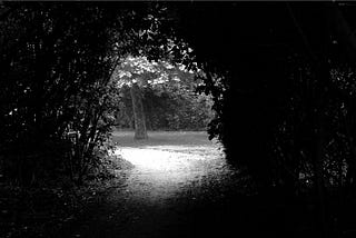 In Light and Dark, Out of the Garden, and On The Path