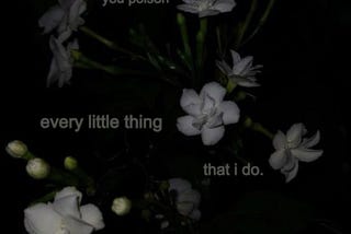 To Lacy — the girl who had it all, from the girl who never did.