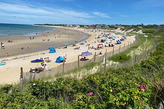 Experience the Whale Watching Cape Cod Season: A Guide