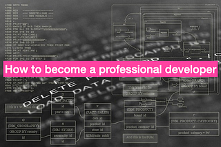 How to become a professional software developer