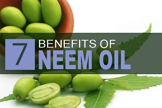 7 Amazing Hair and Skin Benefits of Neem Oil