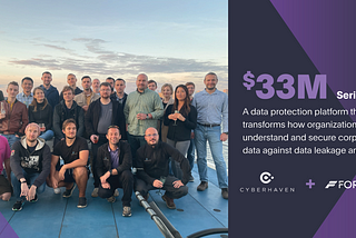 Cyberhaven: IT Data Protection Reimagined