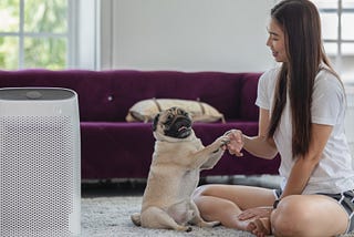 Best Air Purifier for Pets: Breathe Easy with Airdog