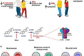 Frontiers | Allopregnanolone, the Neuromodulator Turned Therapeutic Agent:  Thank You, Next?