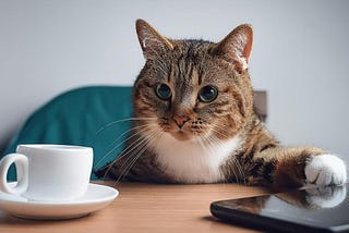 Coffee Break - 觀察KPI設定對團隊行為的影響