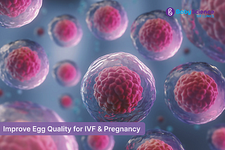 #5 tips for How to Improve Egg Quality for IVF & Pregnancy