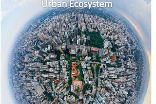 Ecosystem Restoration: 5 Lifestyle Changes To Restore Urban Ecosystems