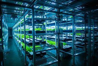 The Vertical Farming Fallacy