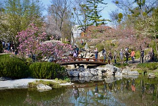 Discover Setagaya park beautiful Japanese garden in Vienna