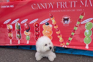 Your Fear of Looking Stupid Is