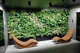 Stabilized Plants — A Green Touch to Decorate your Home