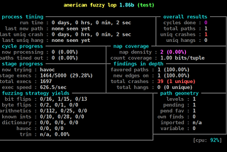 Fuzz Testing