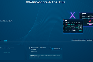 BeamX: How to set up your Beam Wallet.