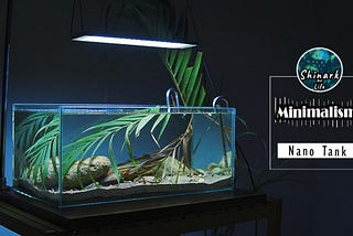 Aquascaping simple setup nano mini tank tutorial for beginners easy low budget