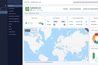 Screenshot of Clever Cloud's Web console displaying the overview of a Node.js application