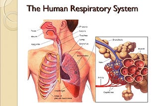 Introduction to Pranayama