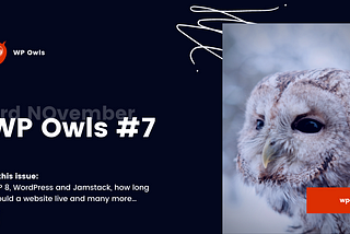 WP Owls #7
