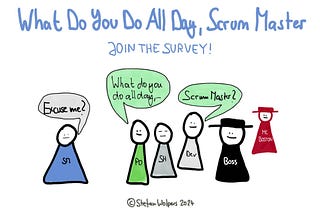 What Are You Doing All Day, Dear Scrum Master?