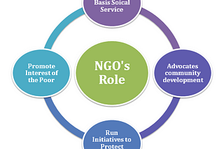 “Developing NGOs”
